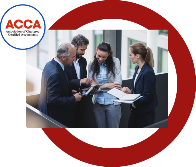 taxaudit_accountants